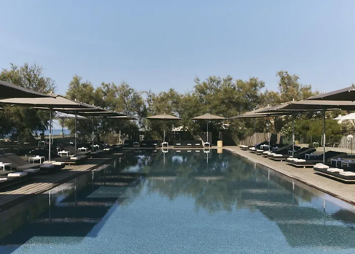 Hotel Plage Palace & Spa